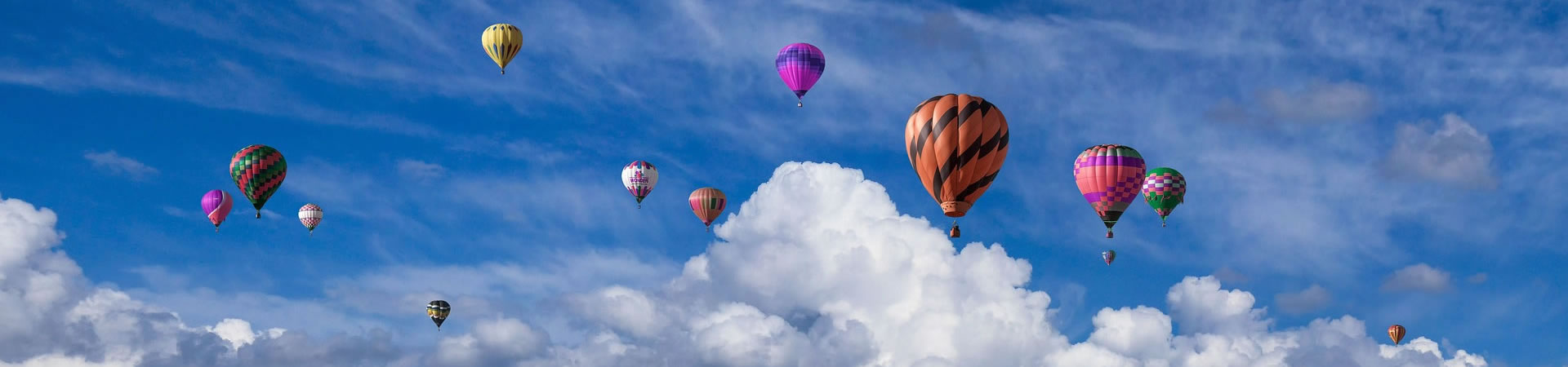 海南养蜂交流群